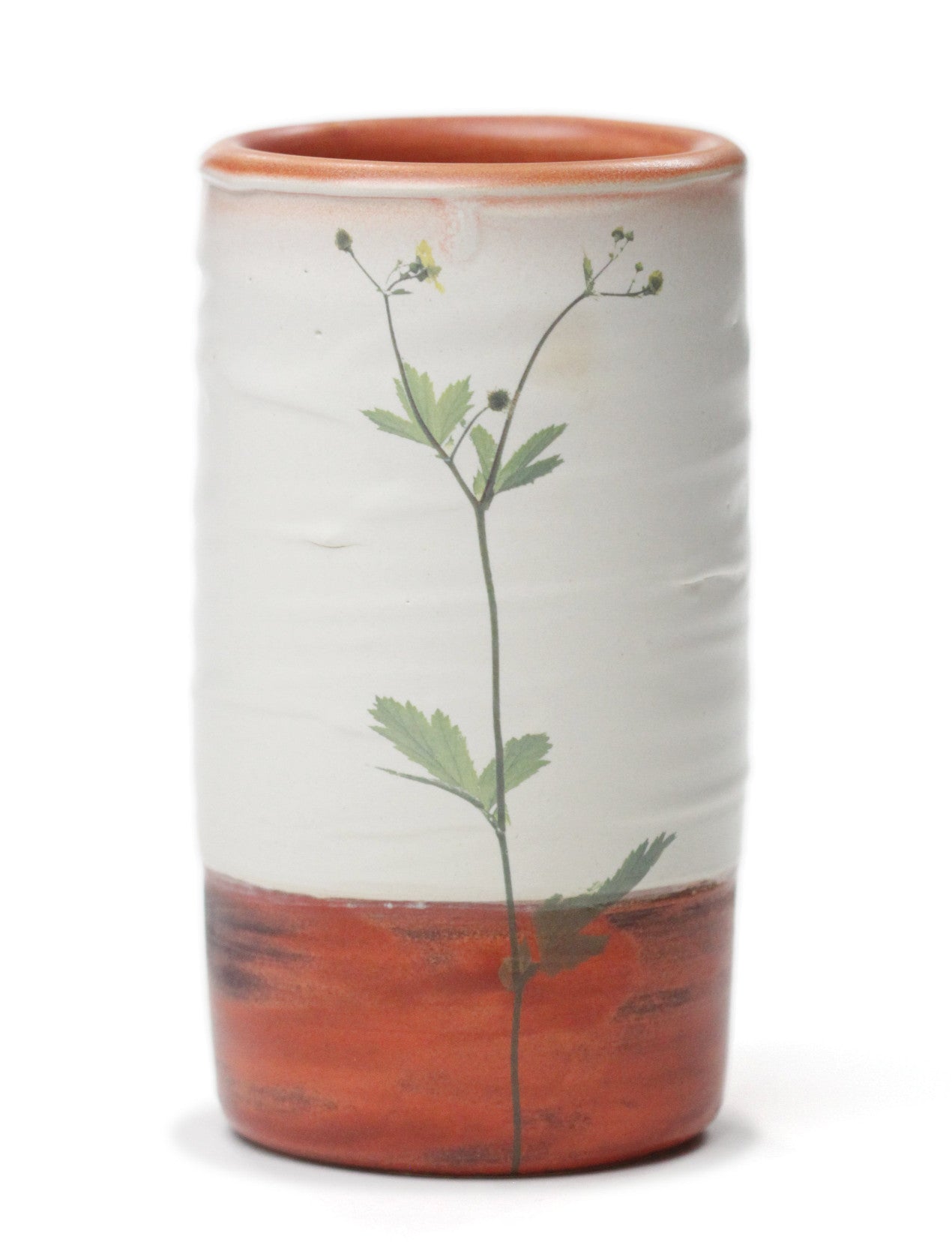 Butter Cup Cylindrical Vase